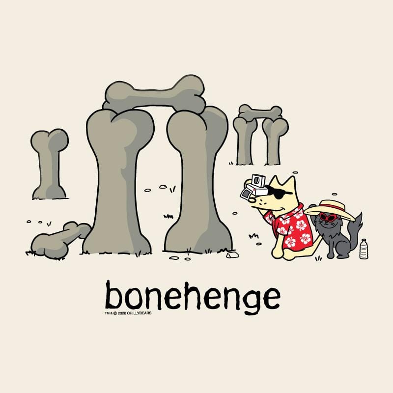 Bonehenge - Ladies T-Shirt V-Neck