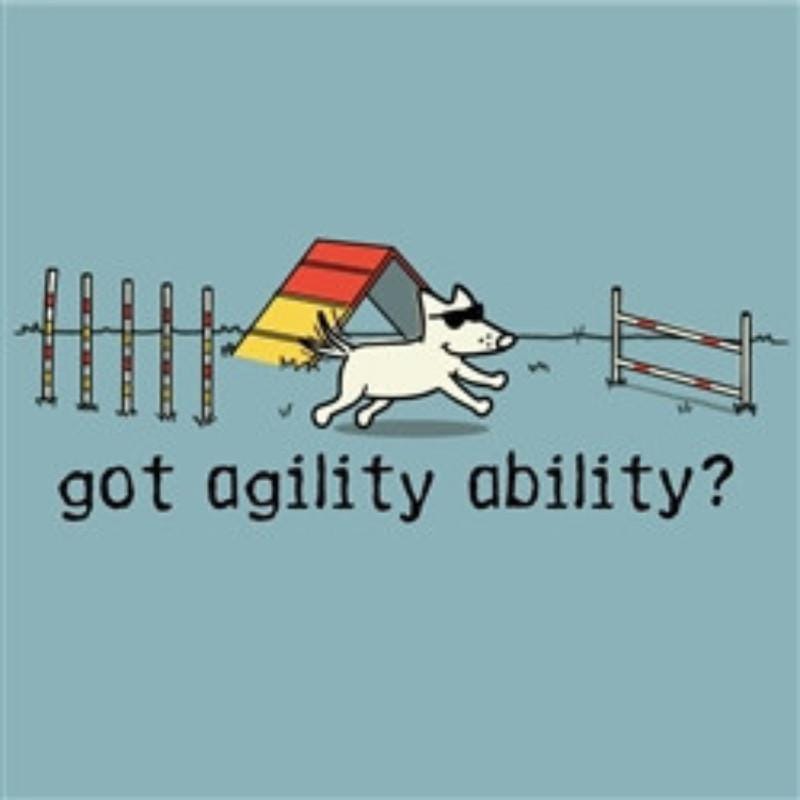 Agility Ability T-Shirt - Classic Garment Dyed